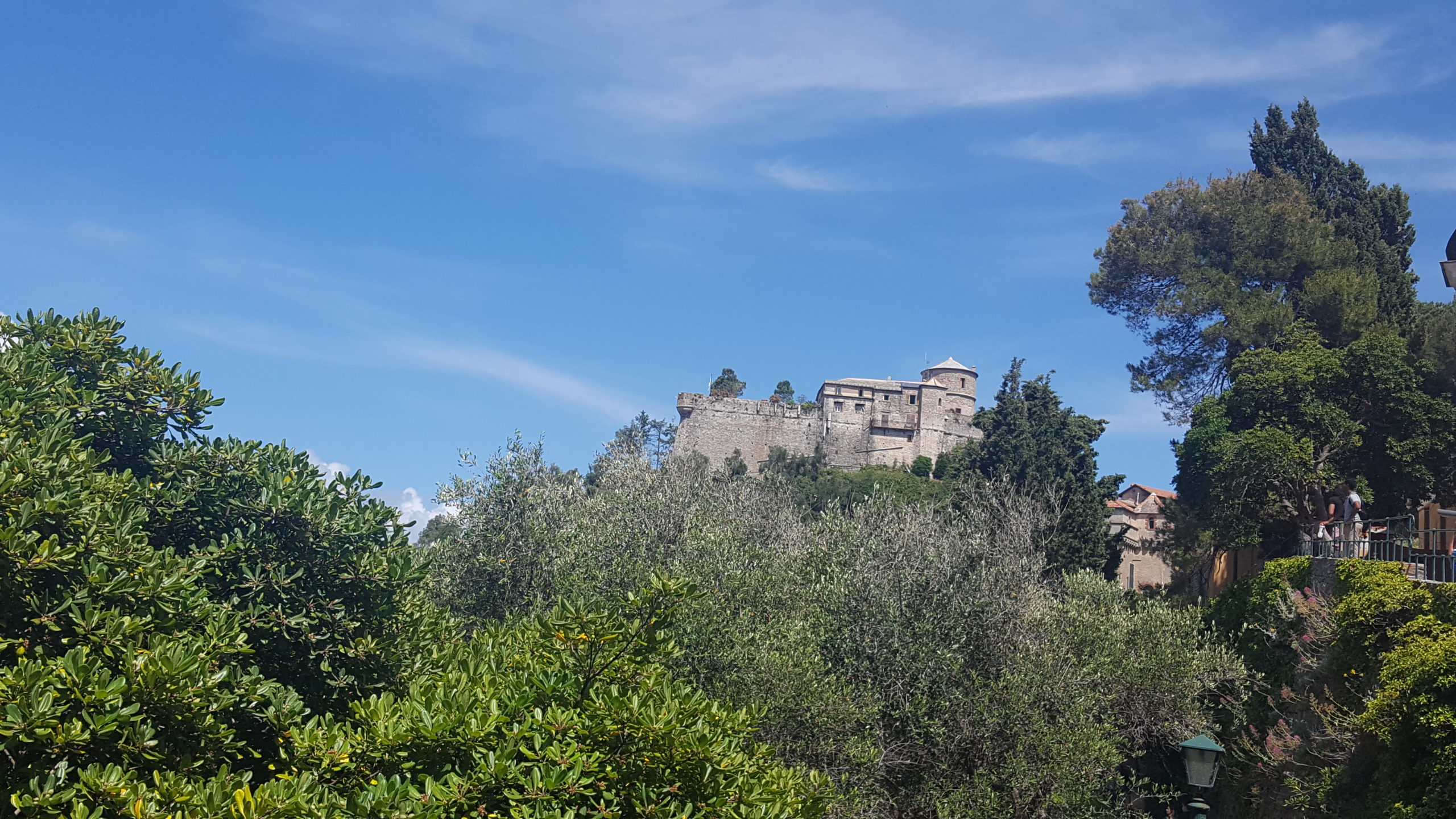 20170604_150647 - Copia